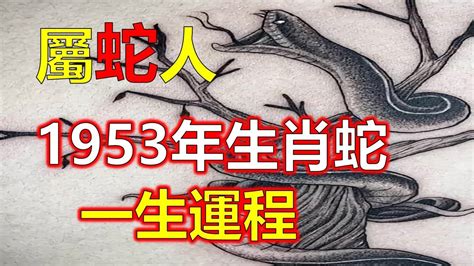 屬蛇人|屬蛇出生年份+2024今年幾多歲｜屬蛇性格特徵＋最新 